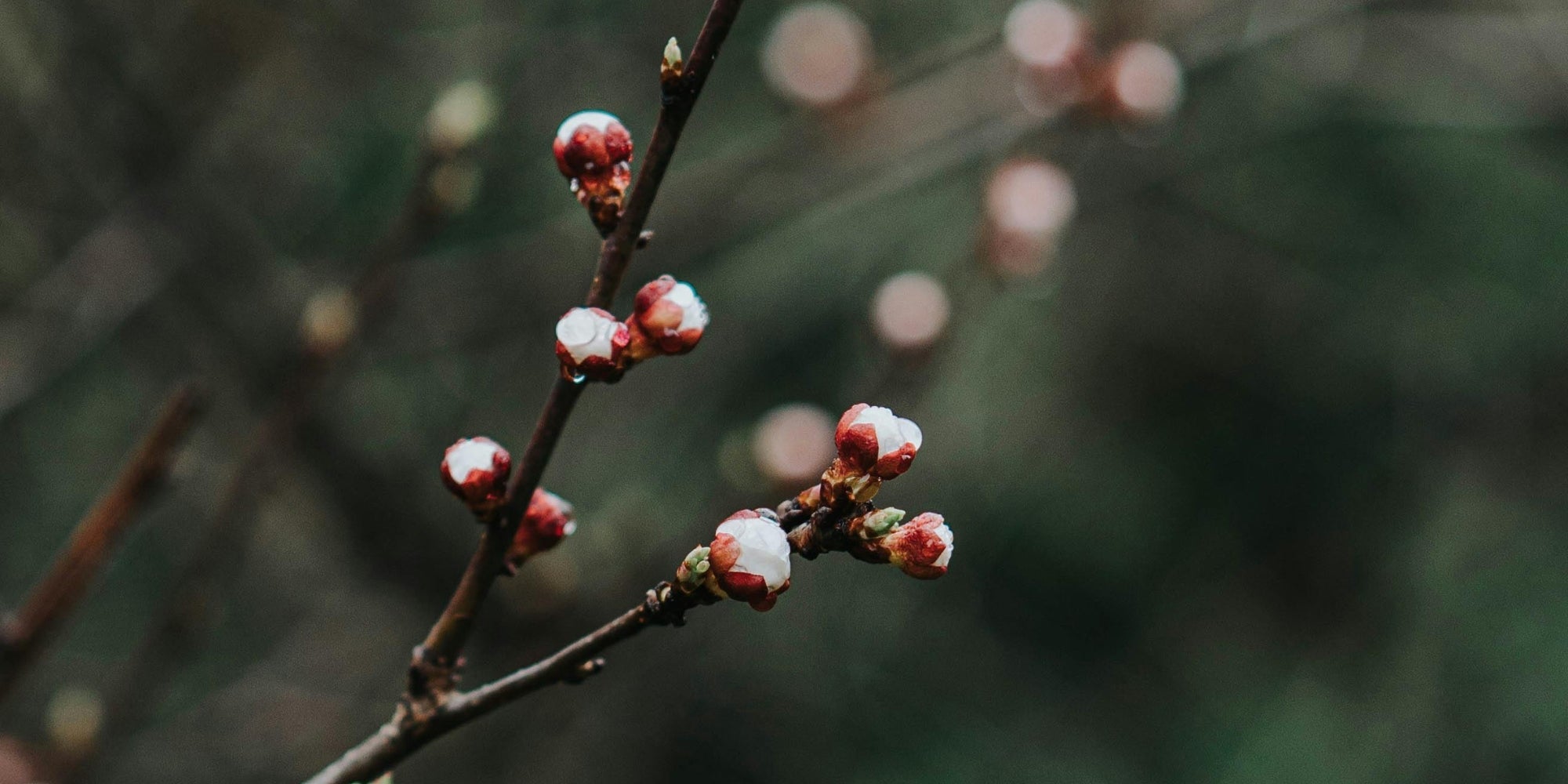 Energie van de maand: februari 2026