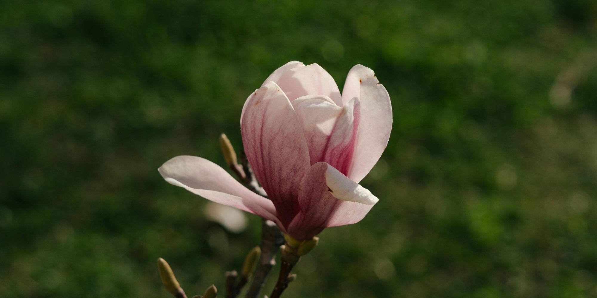 Energie van de maand: Maart 2026