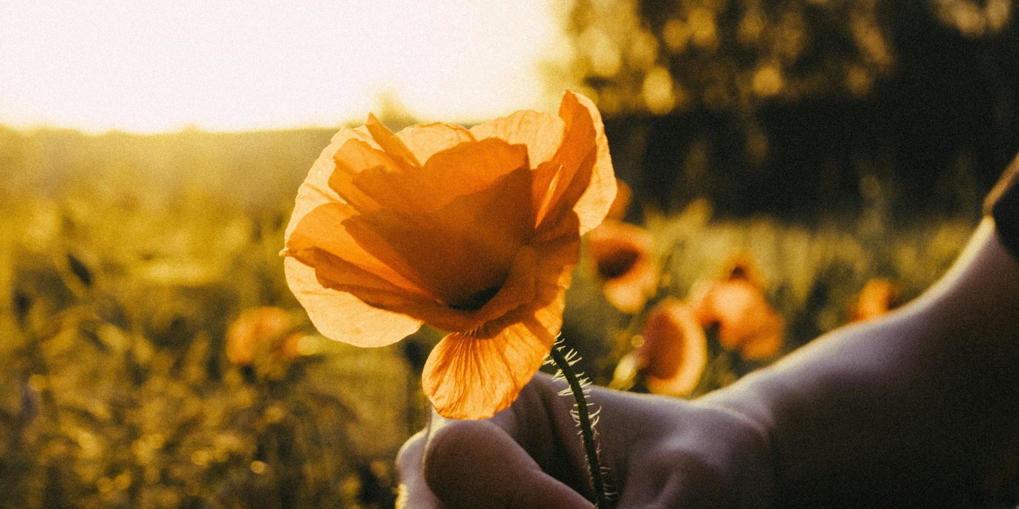 Numerologie en je geboortegetal: krijg inzicht in jezelf via cijfers