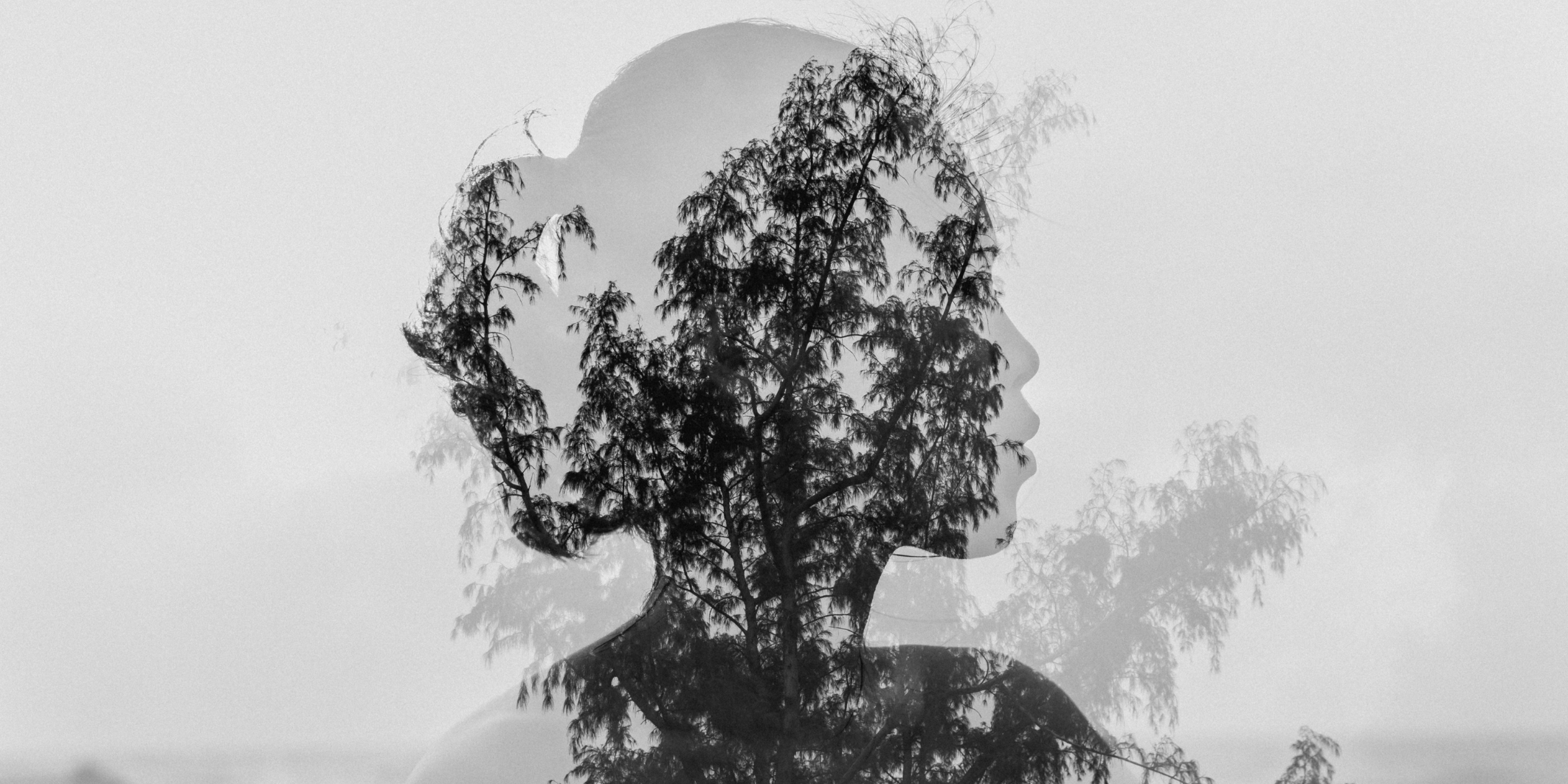 Nieuwe maan en zonsverduistering in Waterman op 17 februari 2026