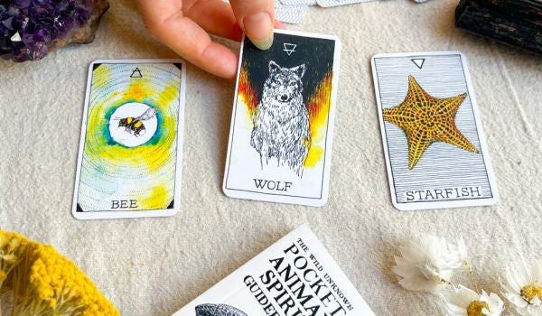 Dit zijn de verschillen tussen tarot- en orakelkaarten