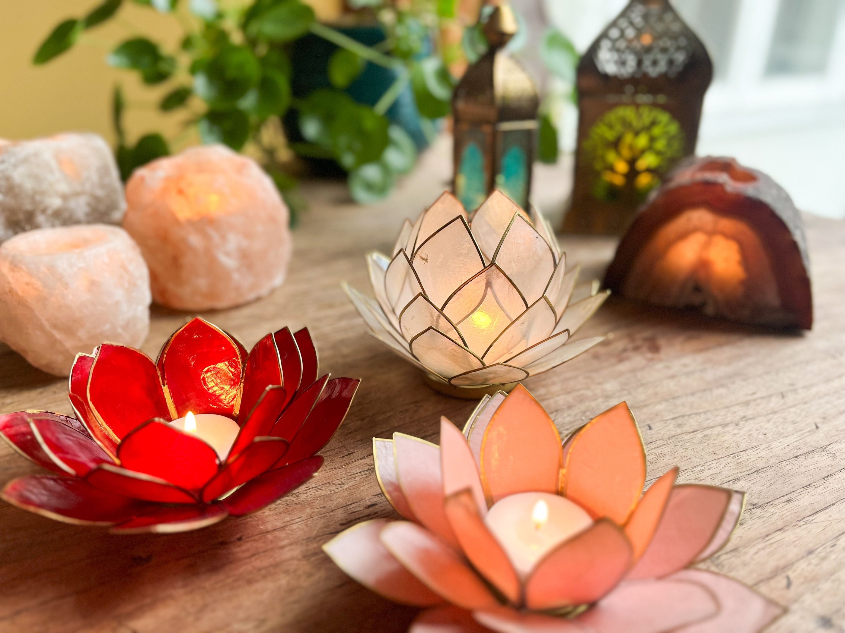 Cadeaus vanaf €50,-