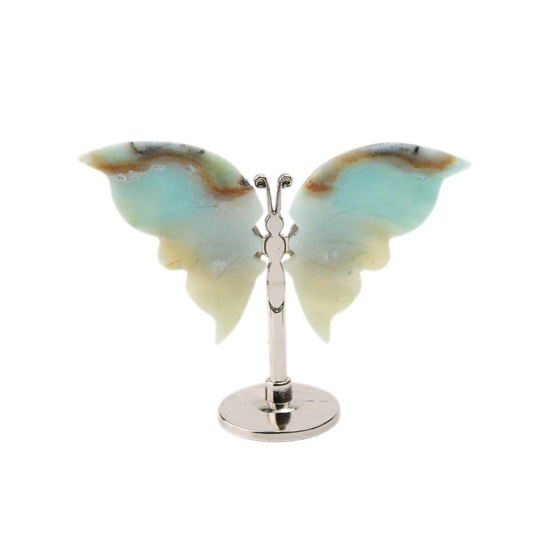 Vlinder Calciet Caribbean Blue - 2