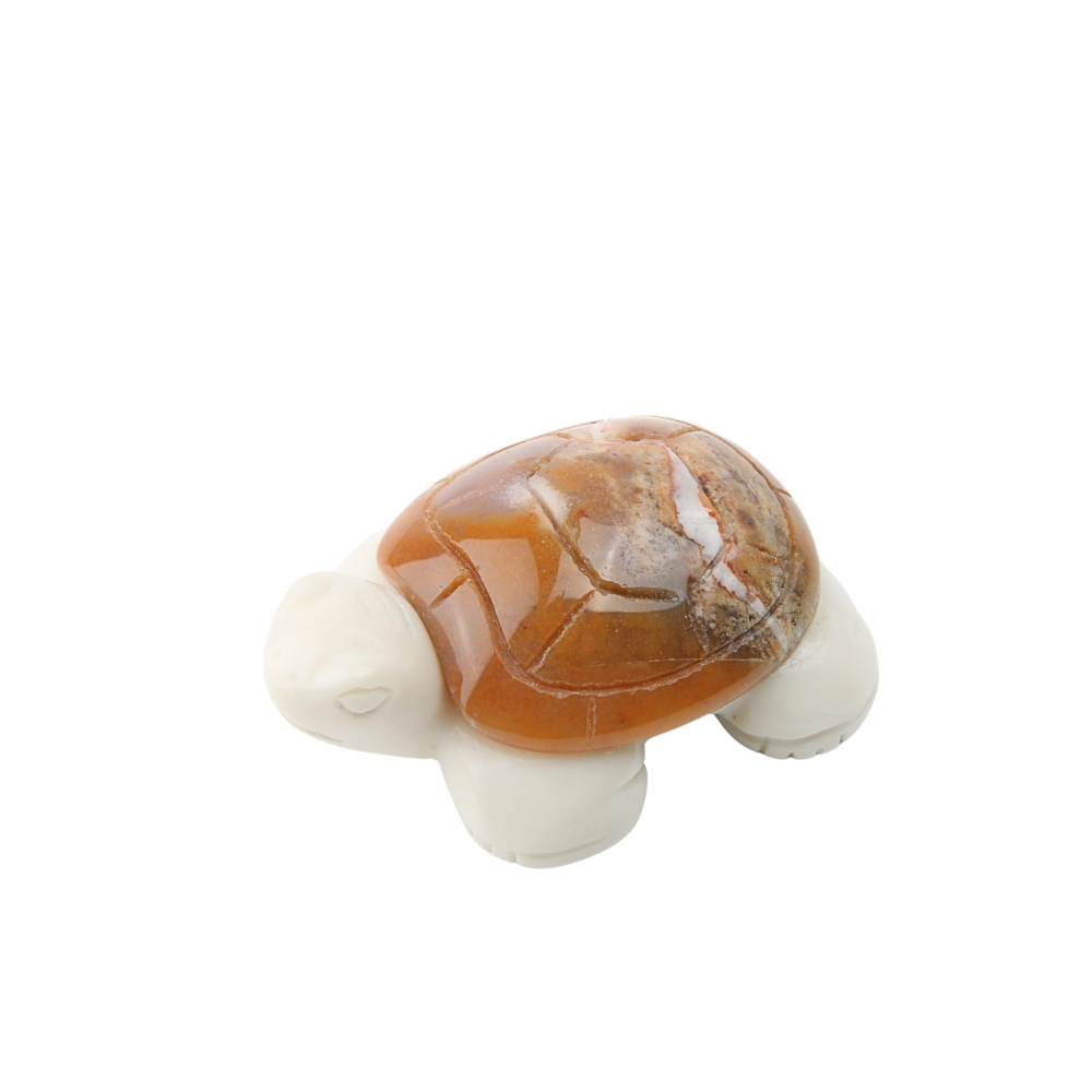 Chalcedoon Jaspis met Jade Ivory Schildpad - 1