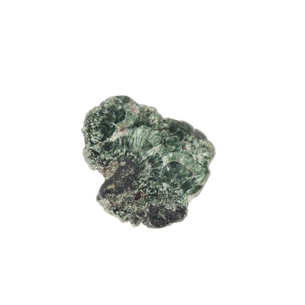 Serafiniet Schijf – 3