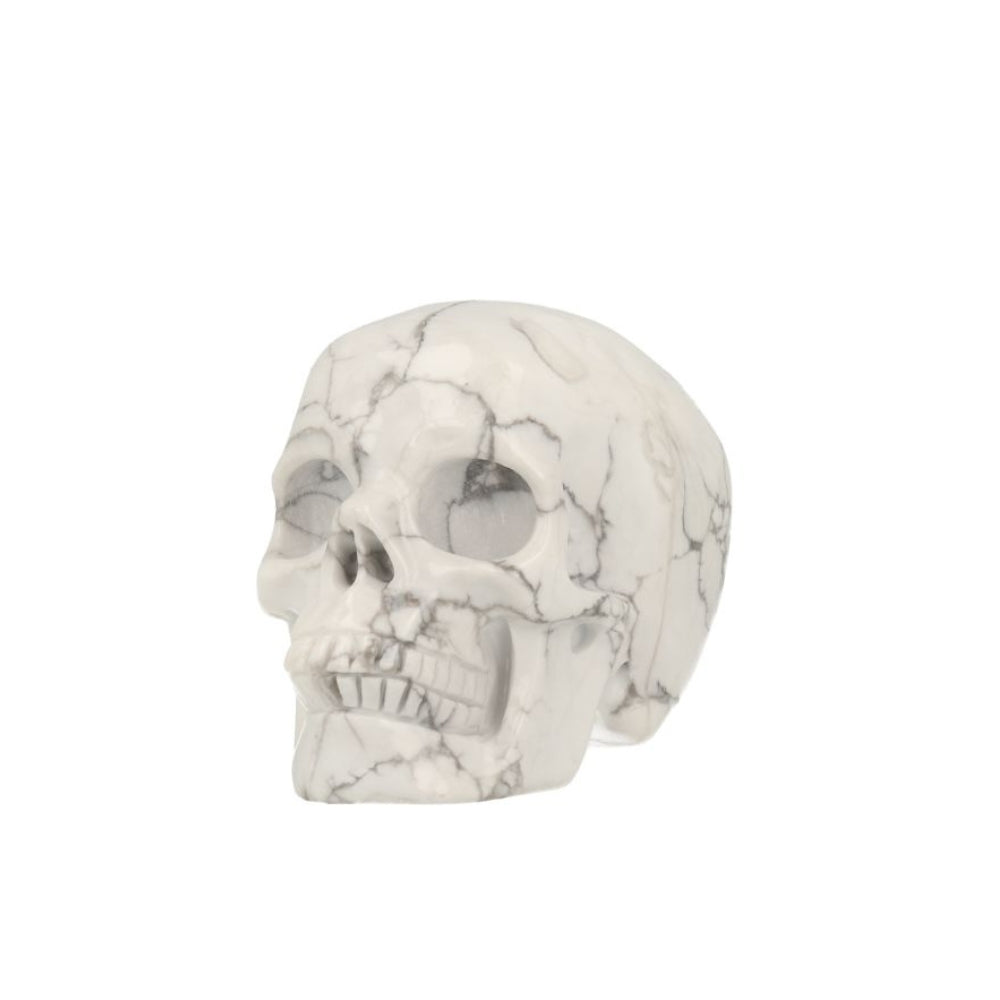 Howliet Skull - 1