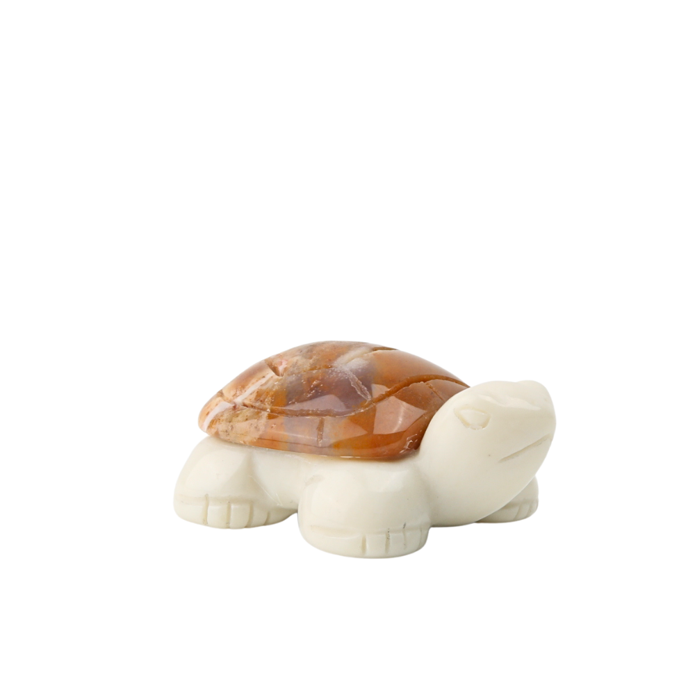 Chalcedoon Jaspis met Jade Ivory Schildpad - 1