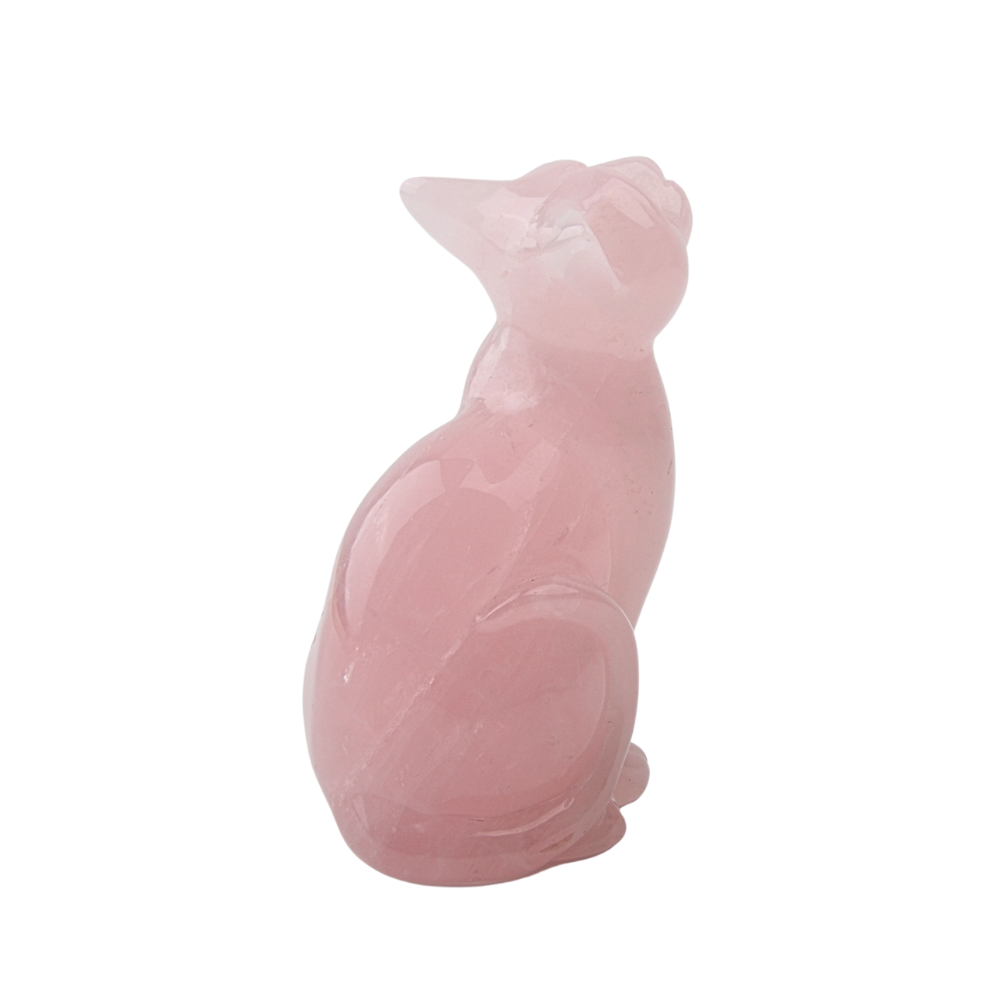 Rozenkwarts Kat