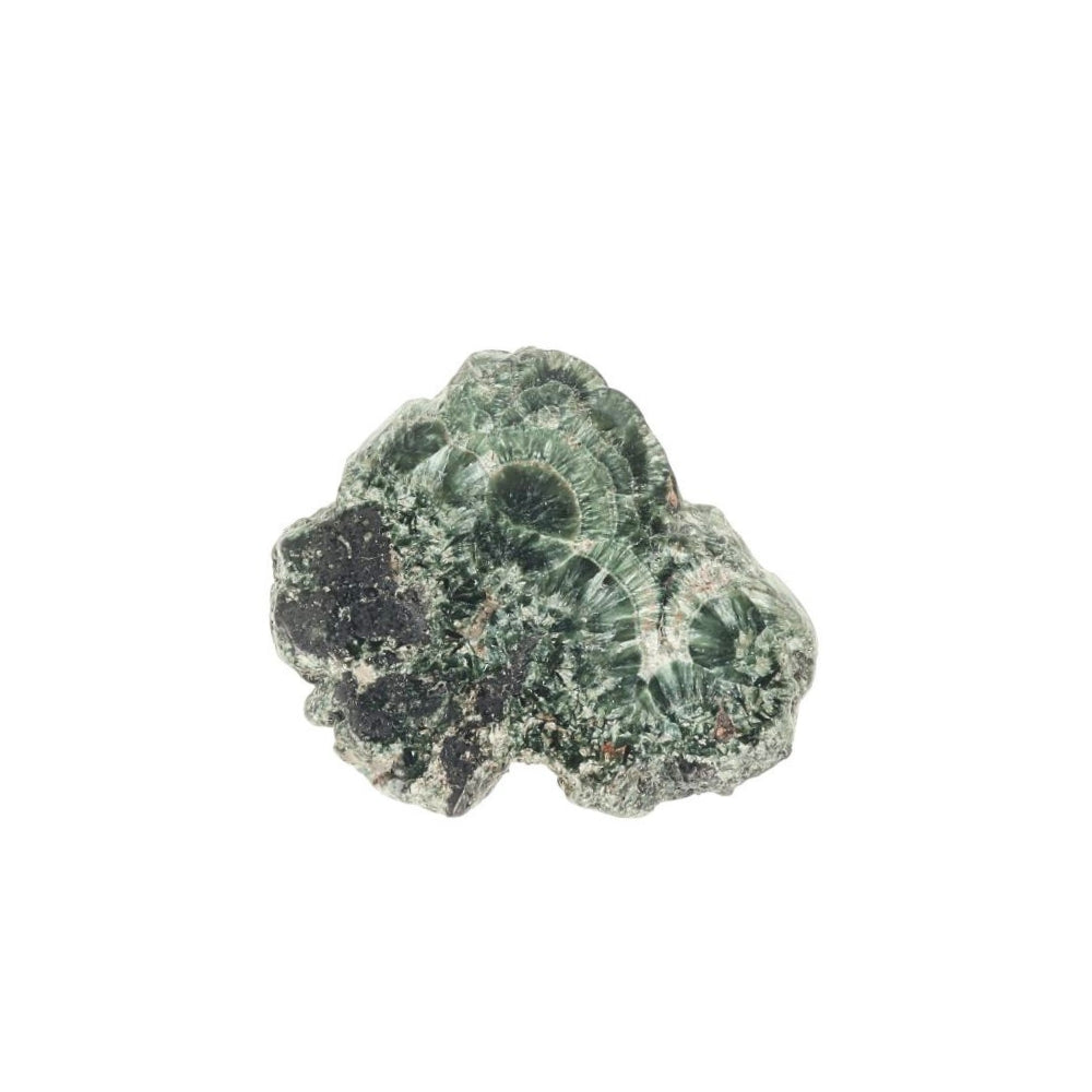 Serafiniet Schijf – 3