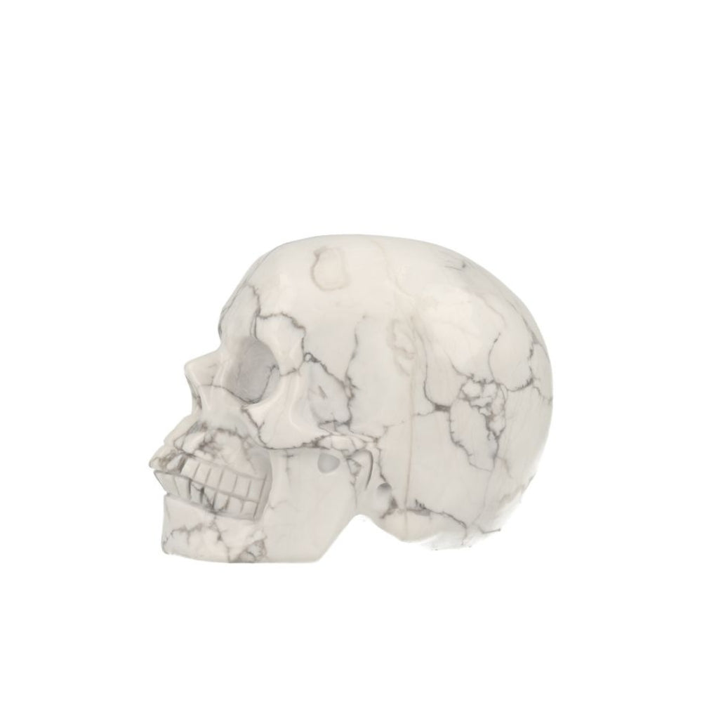 Howliet Skull - 1
