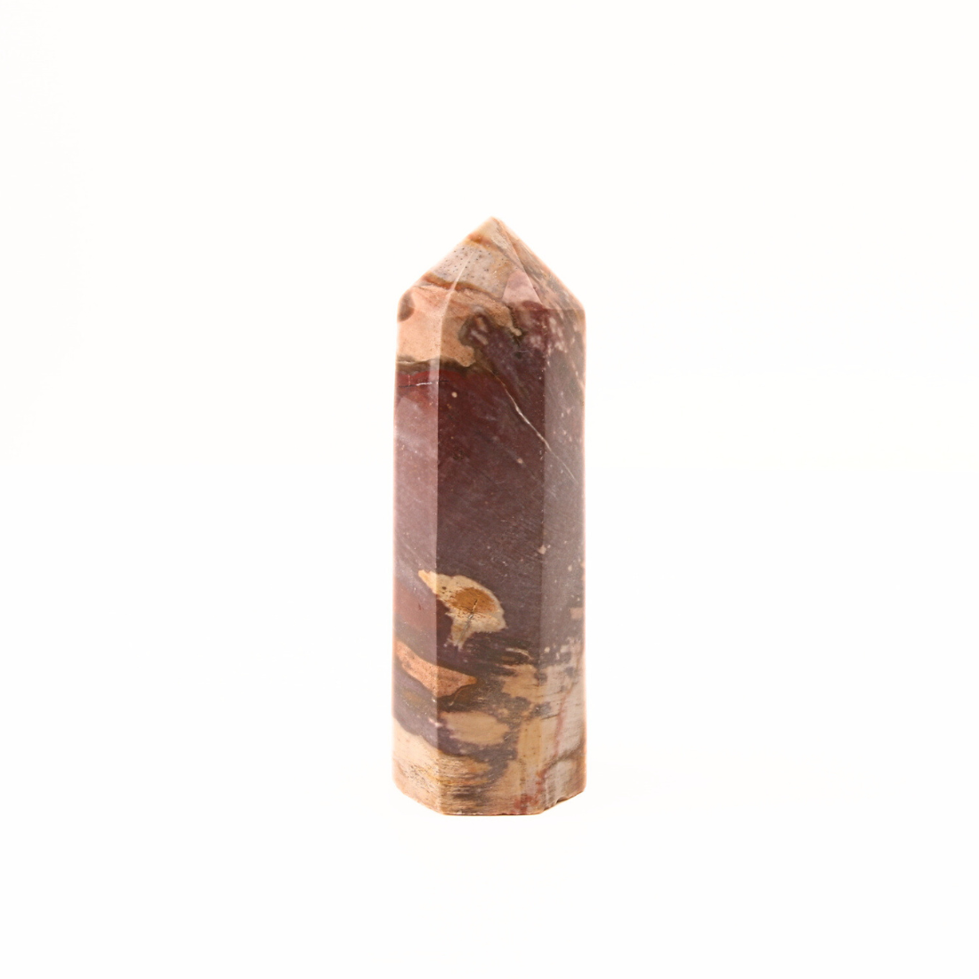 Versteend Hout Obelisk - 2