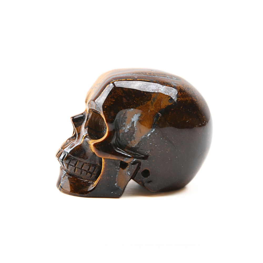 Tijgeroog Skull - 2