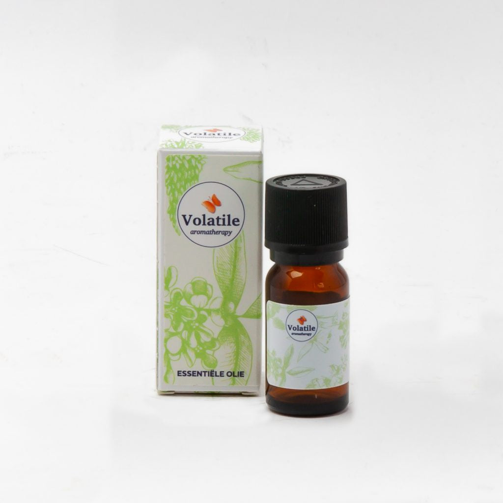 Eucalyptus citriodora olie 10ml - Volatile