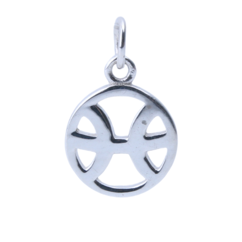 Sterrenbeeld hanger Vissen - 1