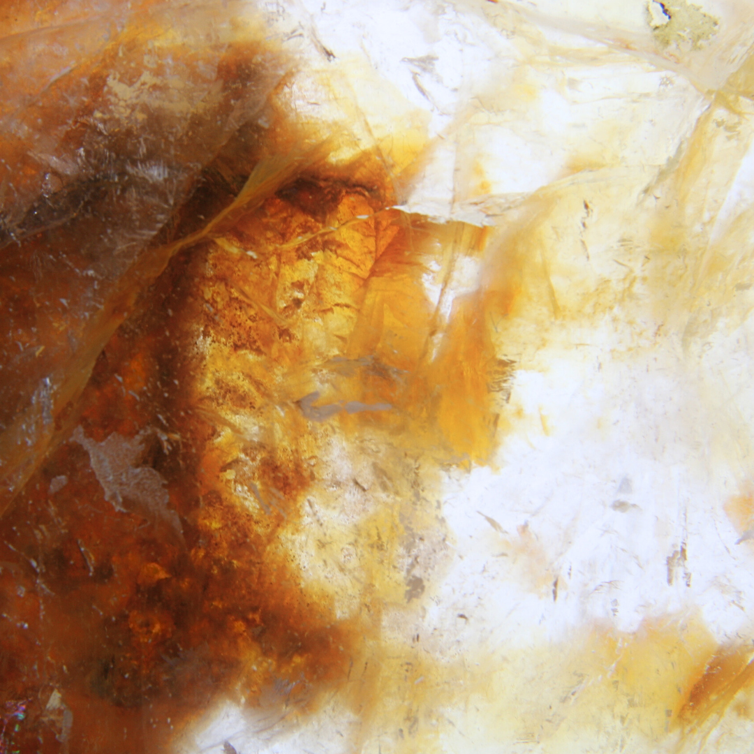 Golden Healer schijf - 2