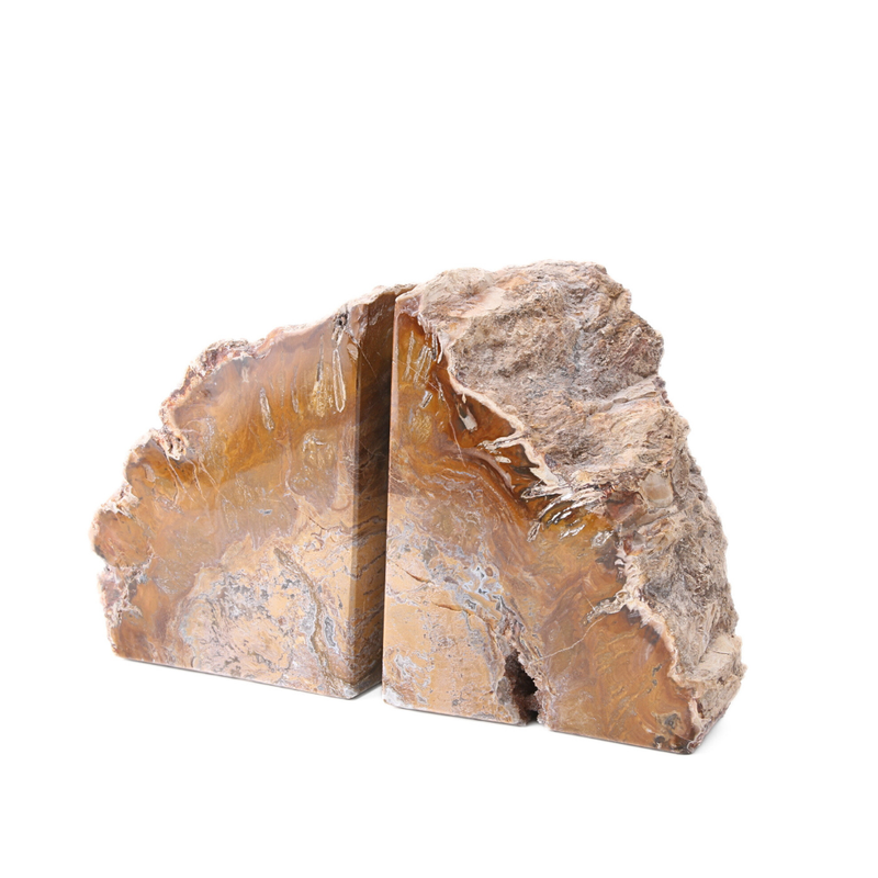 Versteend Hout Boekensteun Set