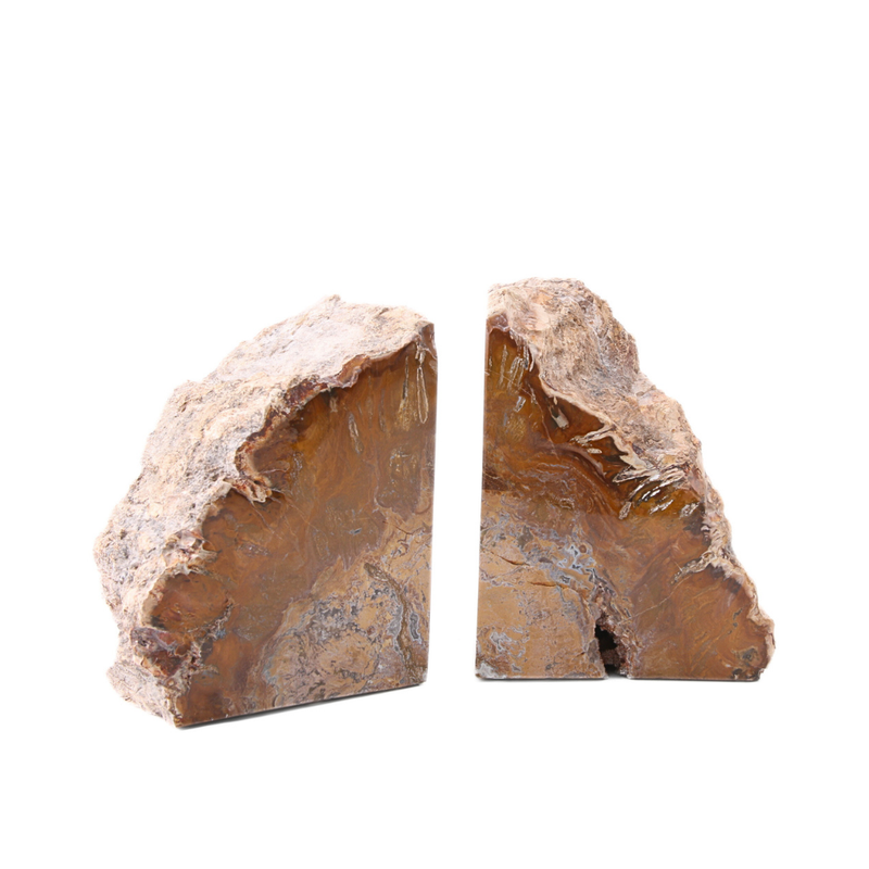 Versteend Hout Boekensteun Set