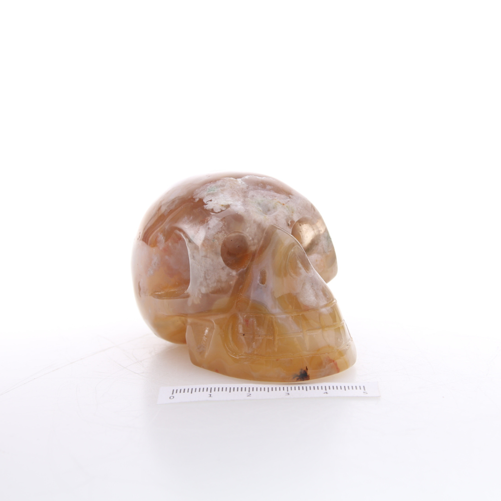 Agaat Bloem Skull