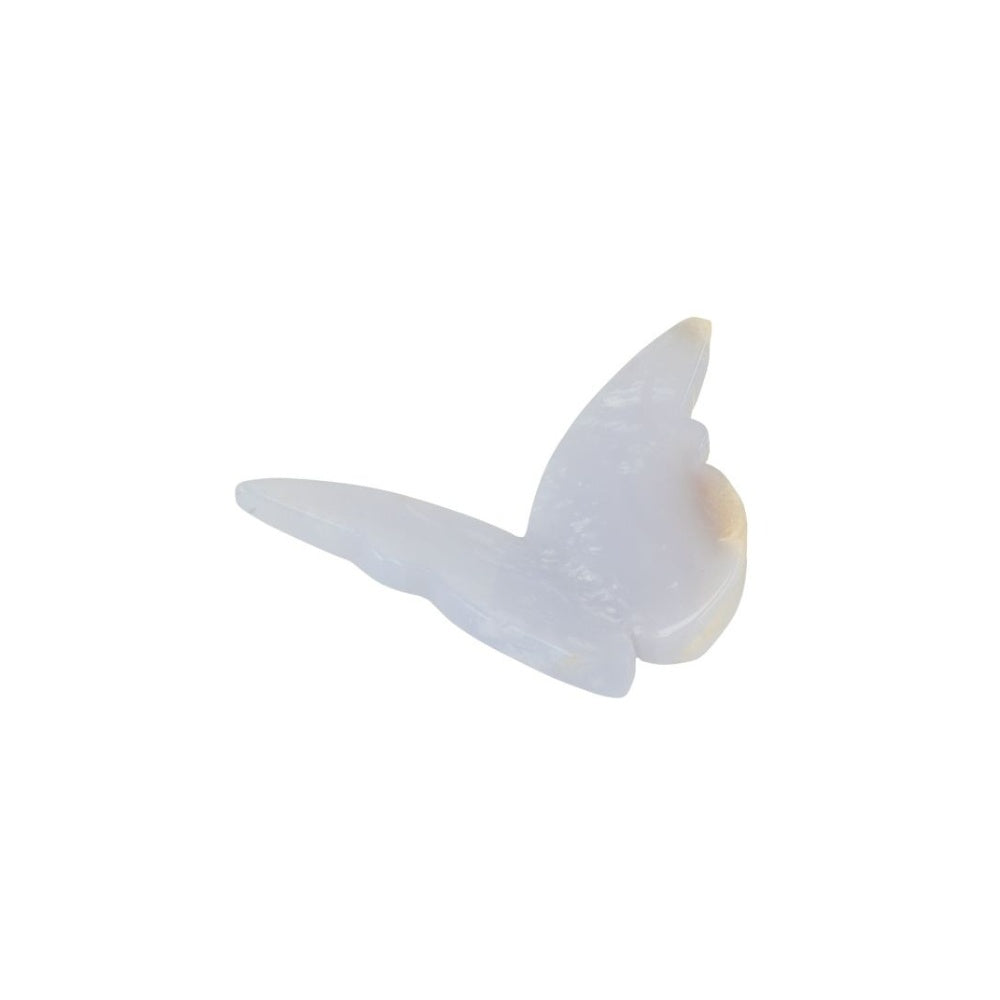 Chalcedoon Vlinder