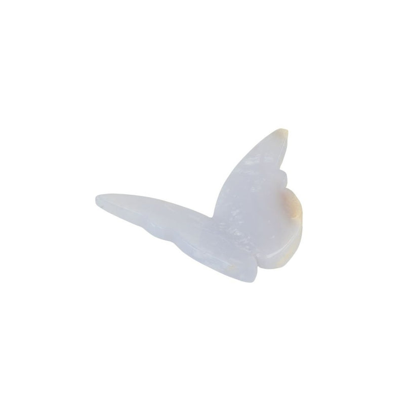 Chalcedoon Vlinder
