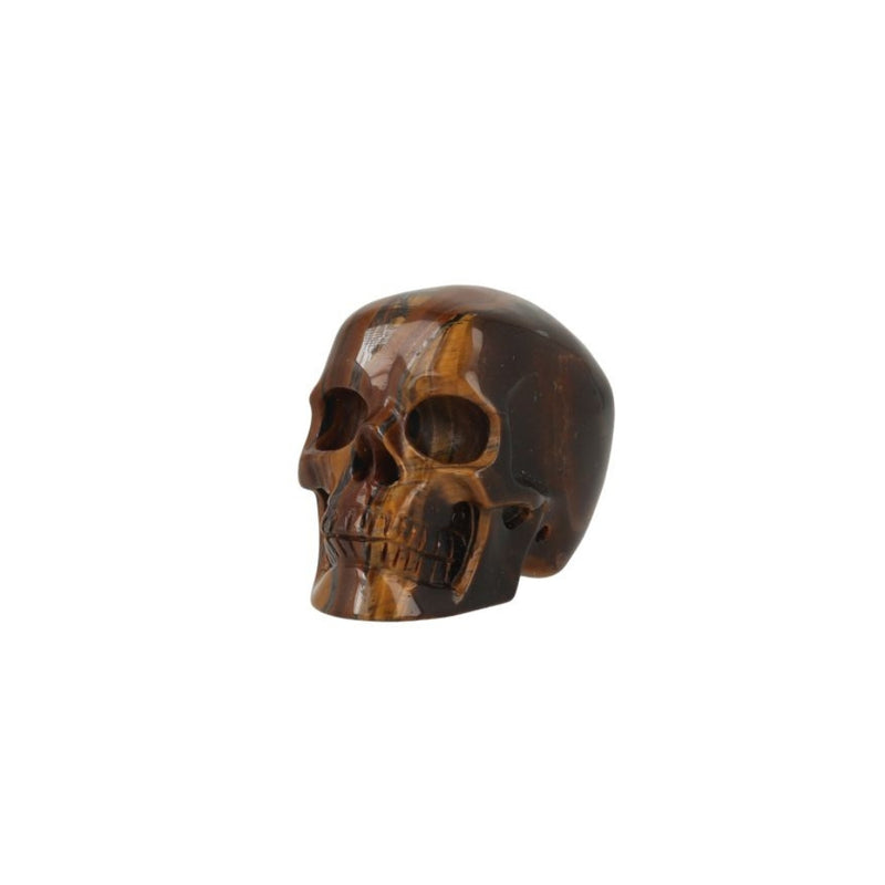Tijgeroog Skull
