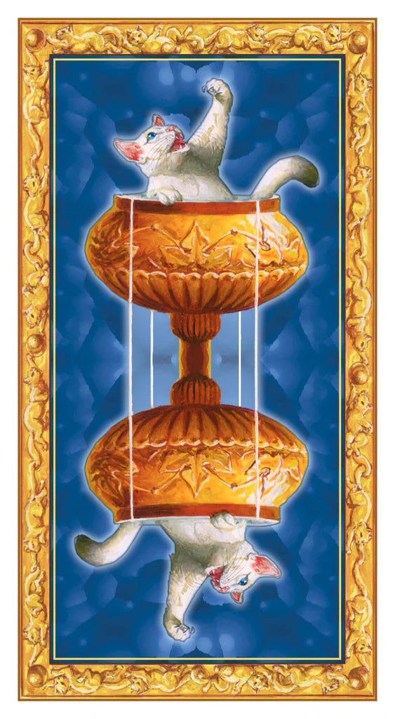Tarot Of White Cats