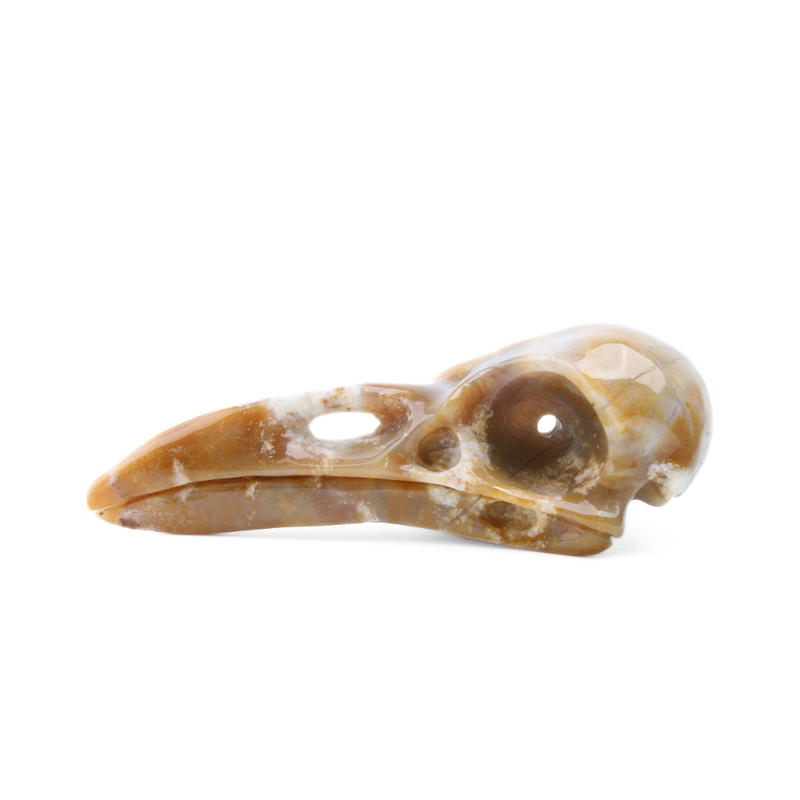 Chalcedoon Jaspis Raven Skull (groot) - 1