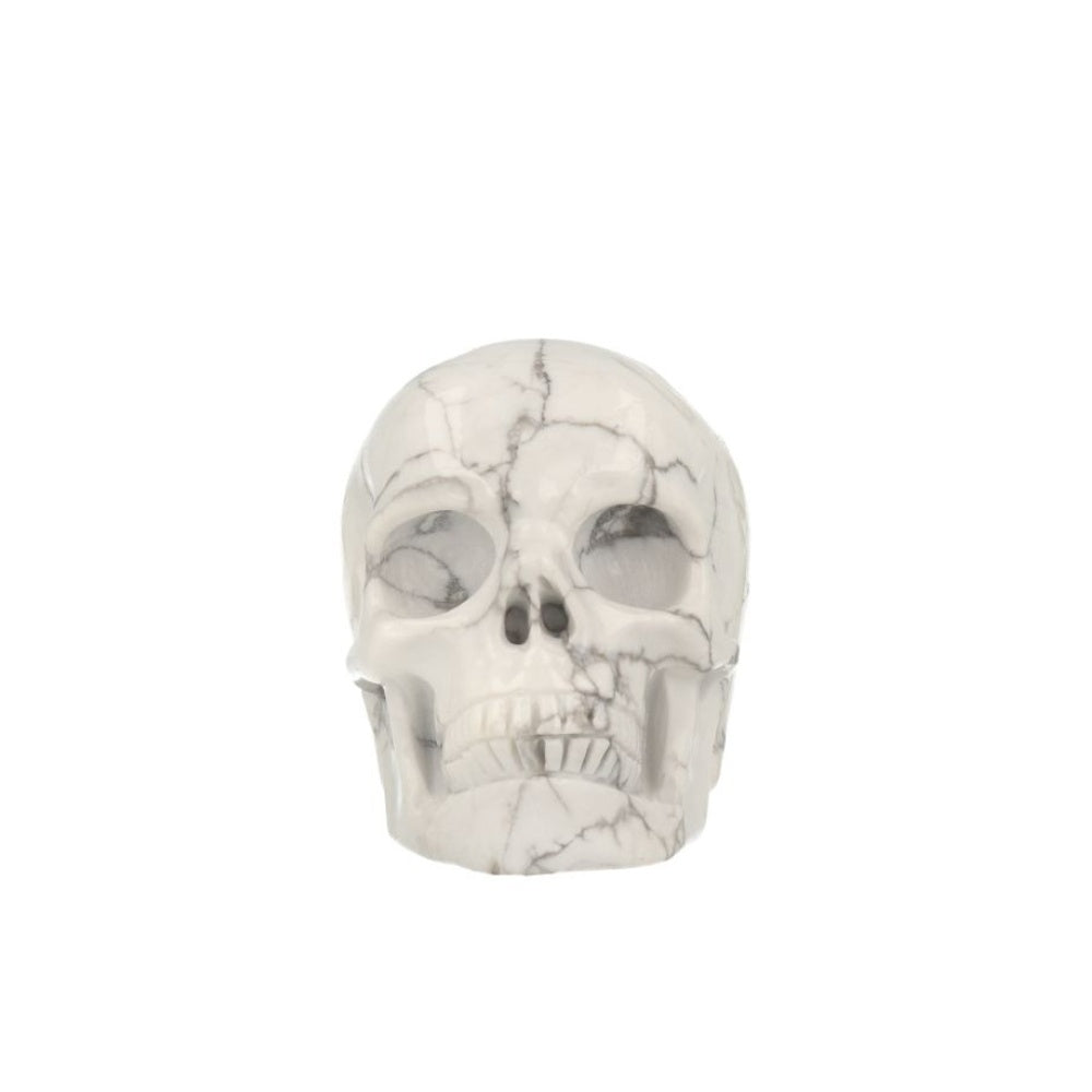 Howliet Skull - 1