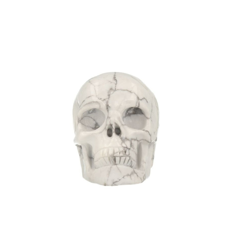 Howliet Skull - 1