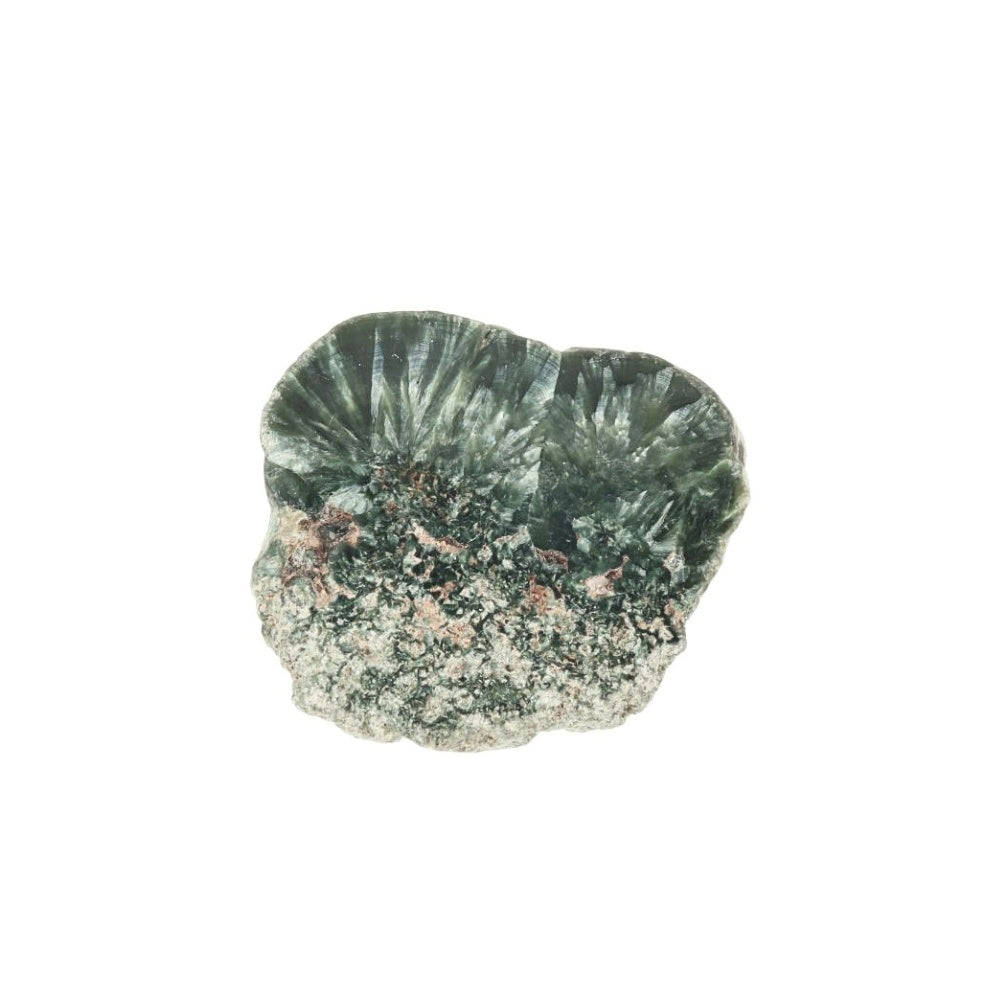 Serafiniet Schijf – 4