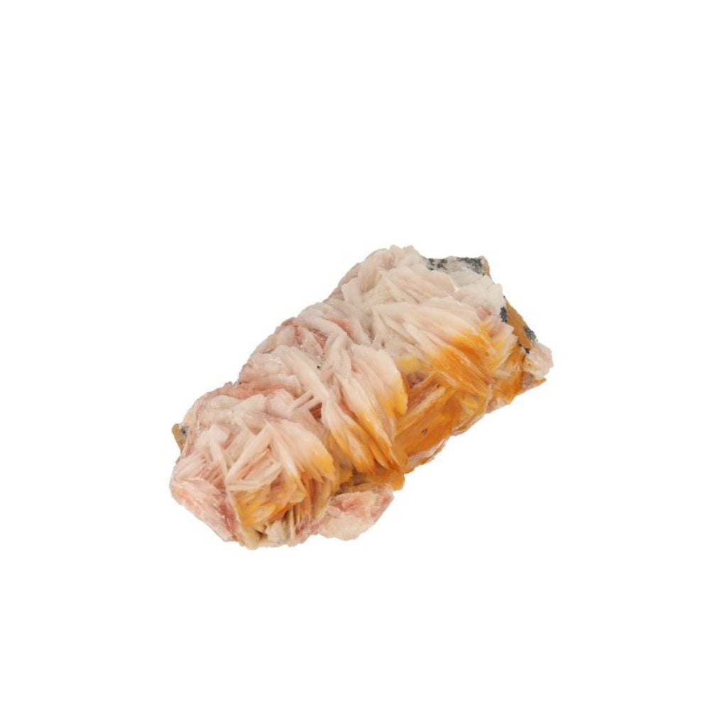 Bariet Ruw - 2
