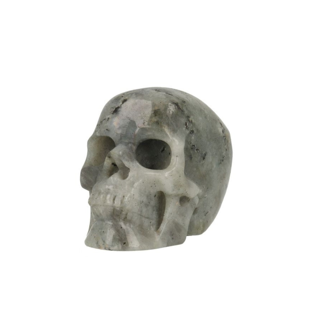 Labradoriet Skull - 1