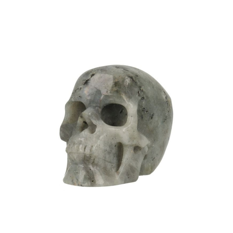 Labradoriet Skull - 1