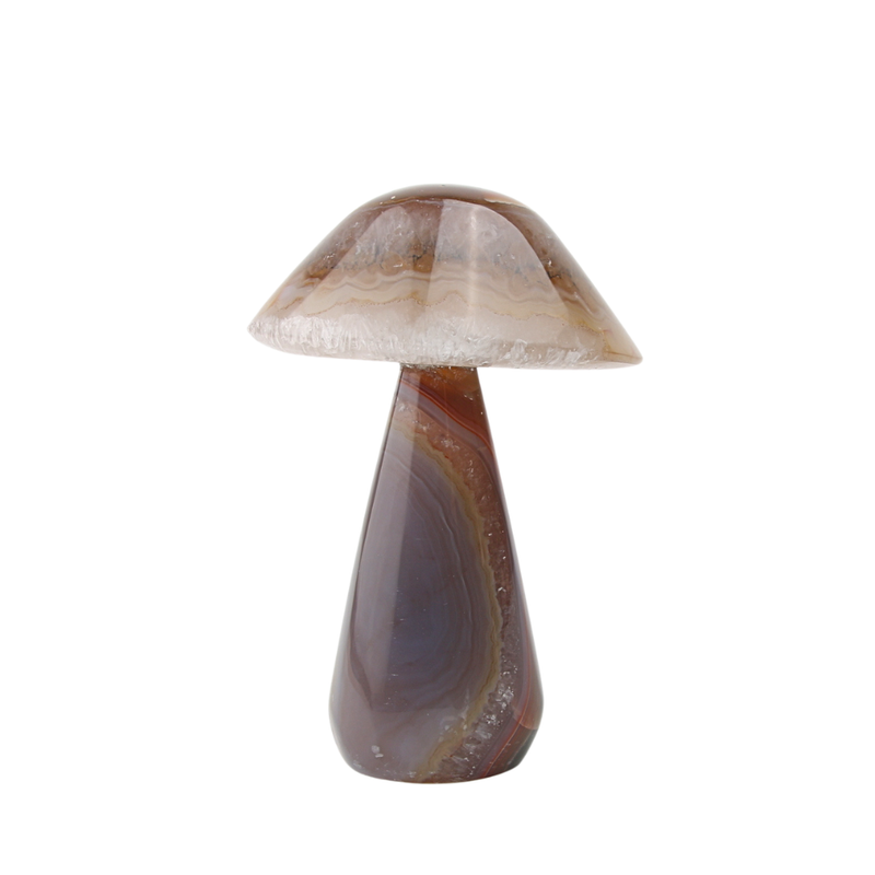 Agaat paddenstoel - 2