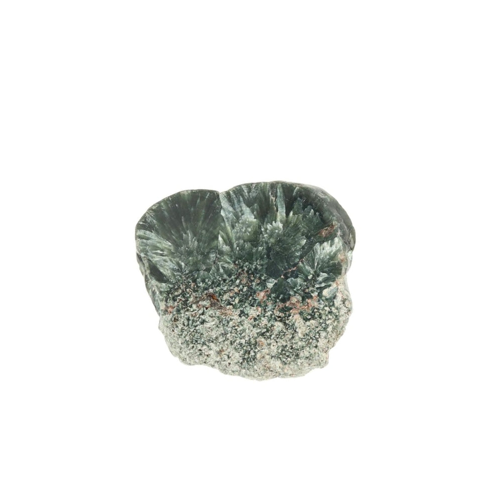 Serafiniet Schijf – 4