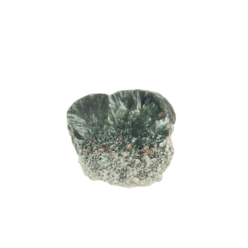 Serafiniet Schijf – 4