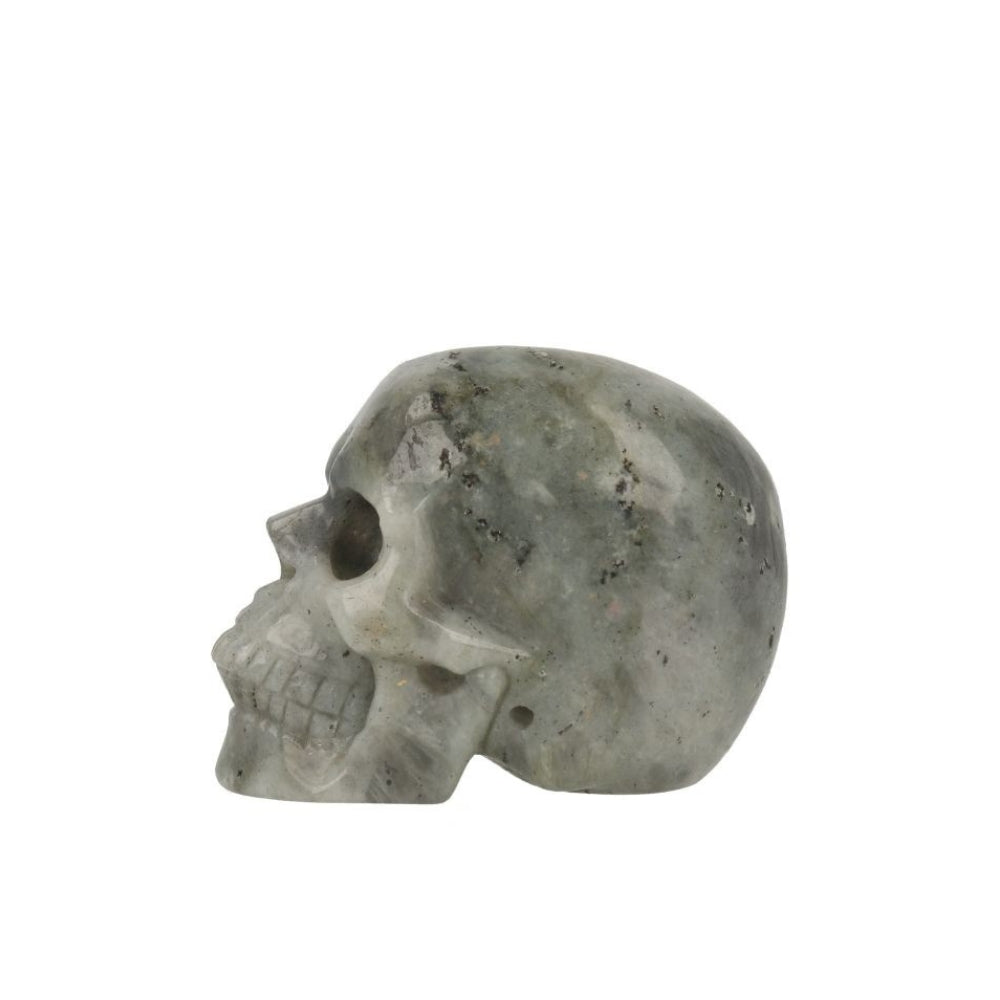 Labradoriet Skull - 1
