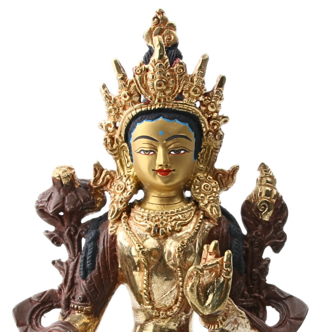 Tara Messing met Gold Plated Gezicht