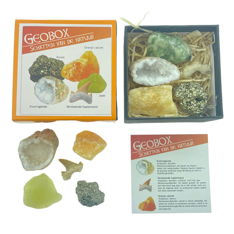 Geobox mineralen fossielen doos
