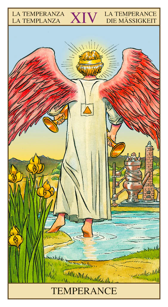 Tarot of the New Vision Set