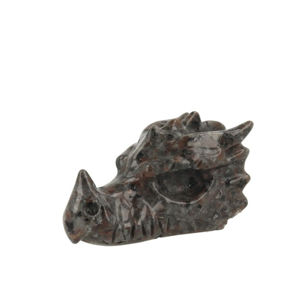 Yooperliet Dragon Skull - 1