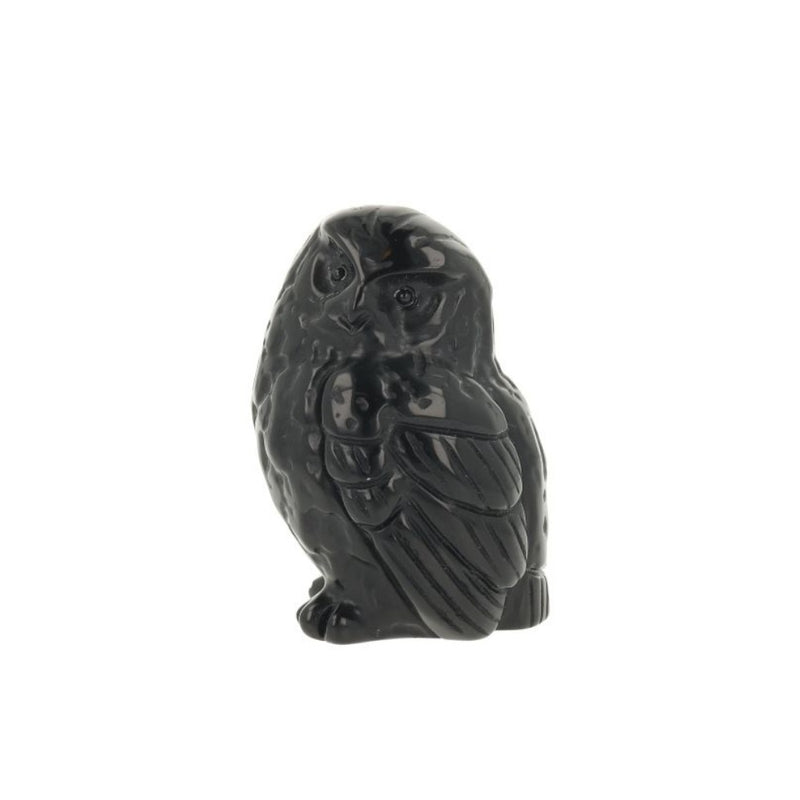 Zwarte Obsidiaan Uil