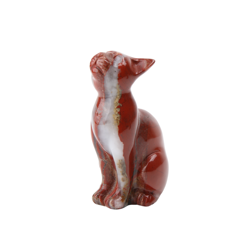 Rode jaspis kat - 8