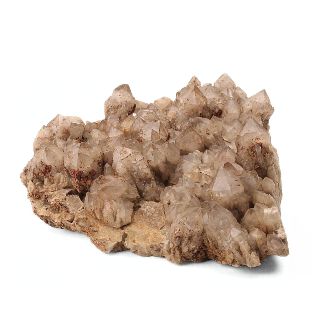 Citrien Cluster