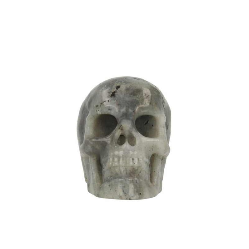 Labradoriet Skull - 1