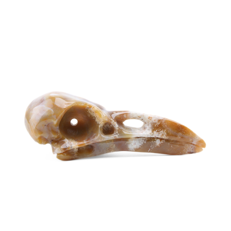 Chalcedoon Jaspis Raven Skull (groot) - 1