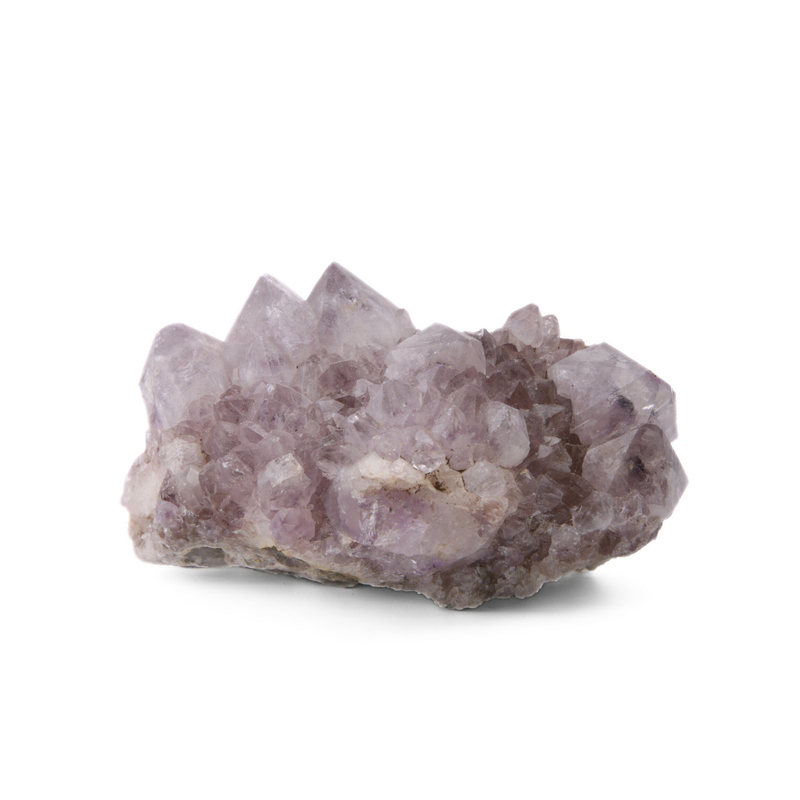 Cactuskwarts Ruw - 2