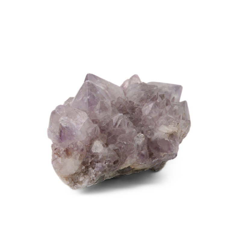 Cactuskwarts Ruw - 2