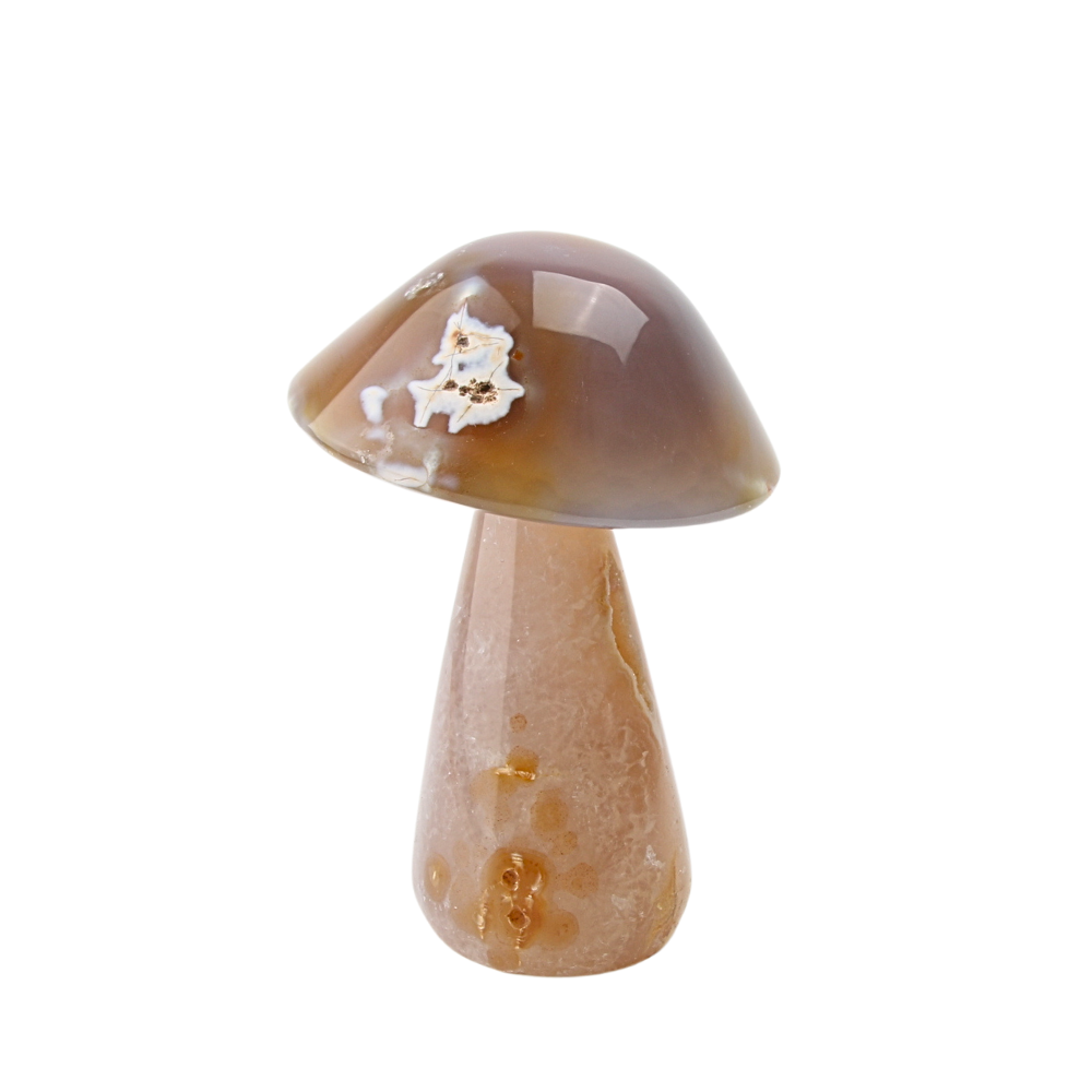 Agaat paddenstoel - 3