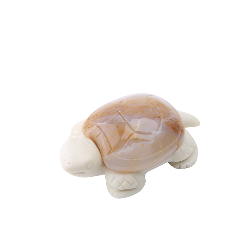 Chalcedoon Jaspis met Jade Ivory Schildpad - 3